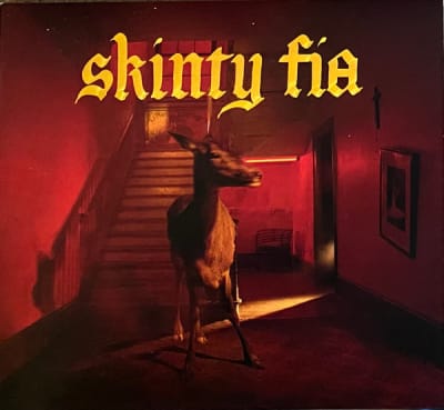 Fontaines D.C. - Skinty Fia CD1