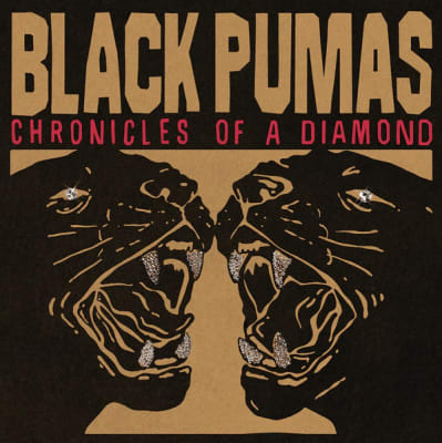 Black Pumas - Chronicles Of A Diamond1