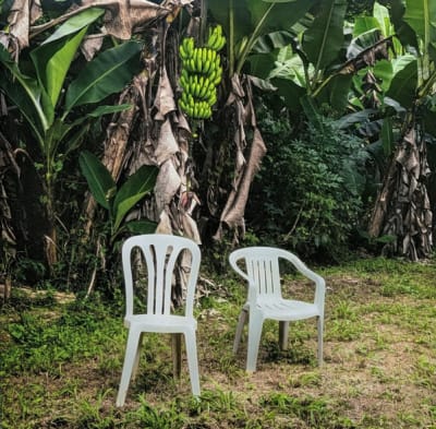 Bad Bunny - Debí Tirar Mas Fotos - 2x LP1