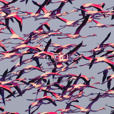 Deftones - Gore1