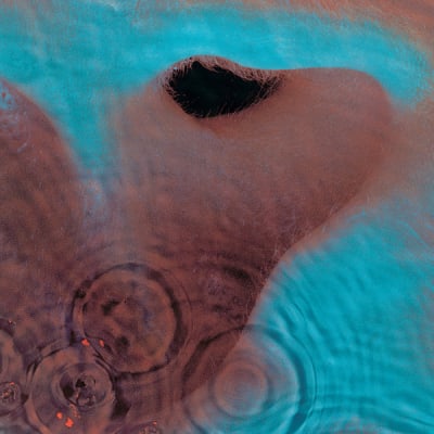 Pink floyd - Meddle CD 20161