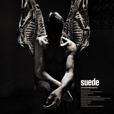 Suede - Antidepressants1