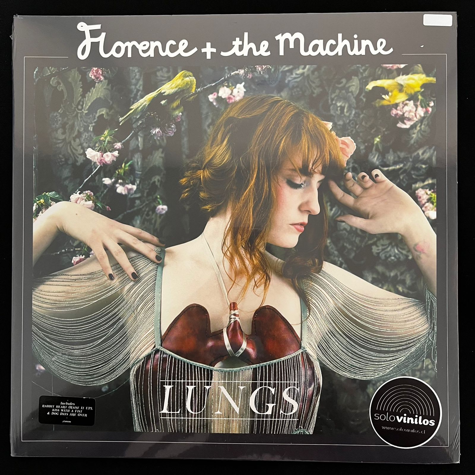 Florence and The Machine Lungs Solo Vinilos