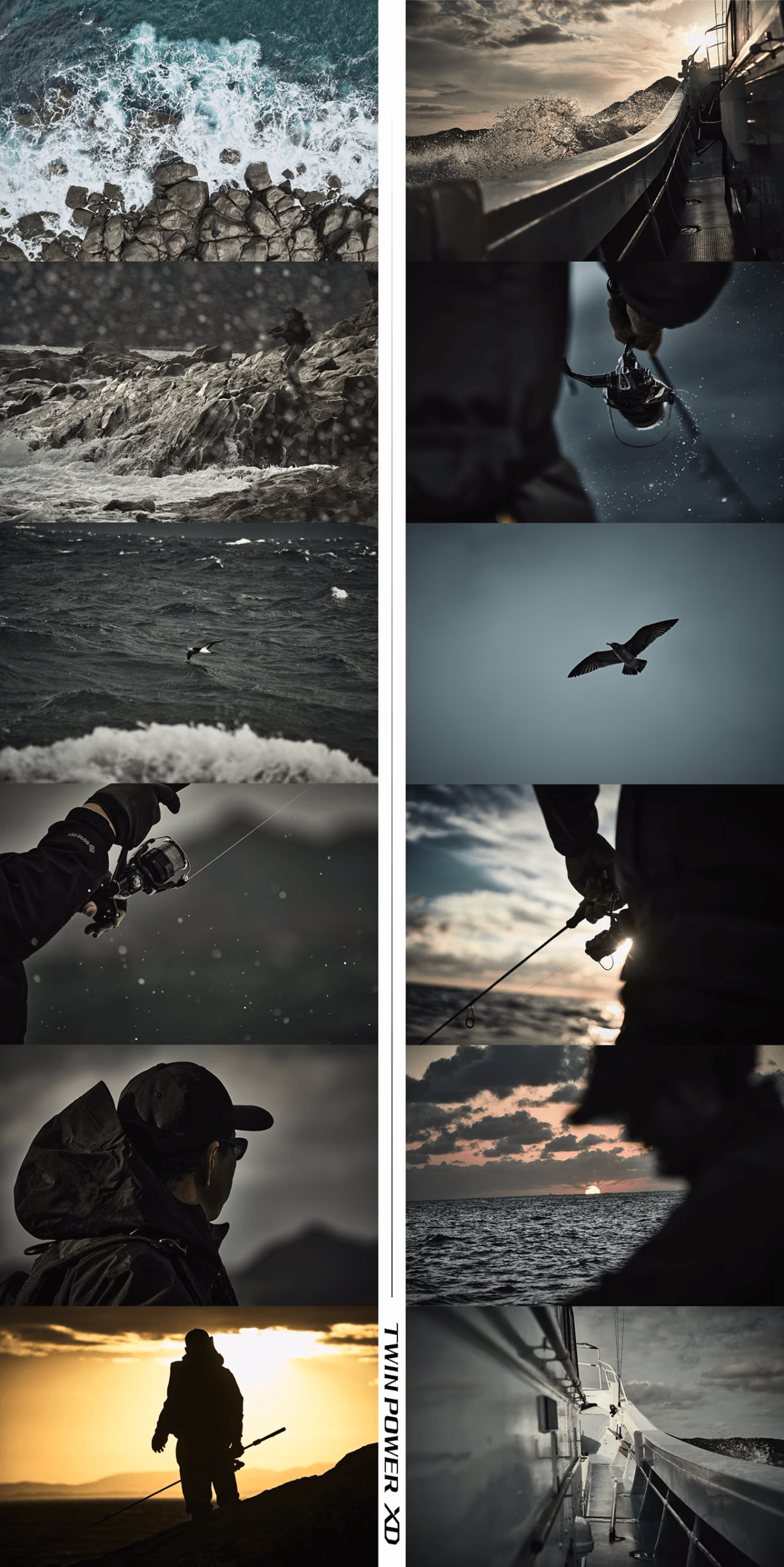 Shimano Twin Power XD pesca costera