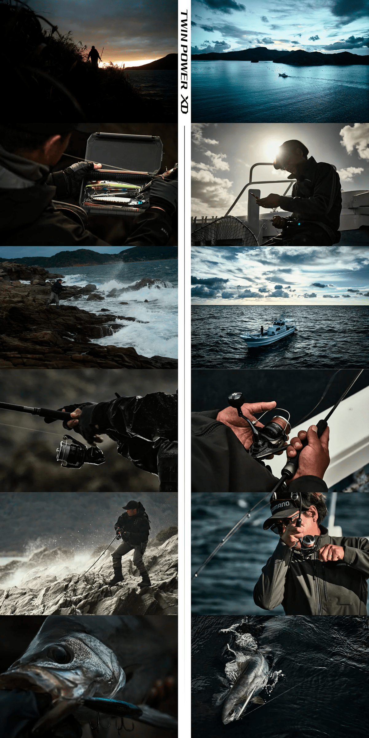 Shimano Twin Power XD en acción