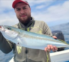 ¿Cómo elegir una caña para embarcado Trolling y Jigging?