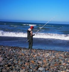 ¿Cómo elegir una caña de surf casting o pesca variada (carnada)?