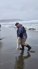 ¿Cómo elegir una caña de Spinning de playa adecuada para señuelos?