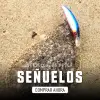Señuelos de pesca