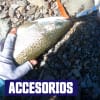 Accesorios de pesca