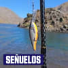 Señuelos de pesca