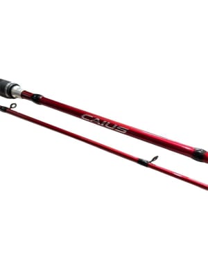 CAÑA SHIMANO CAIUS CAST 7021