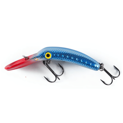 CAIMAN LONG TRUNK 6CM1