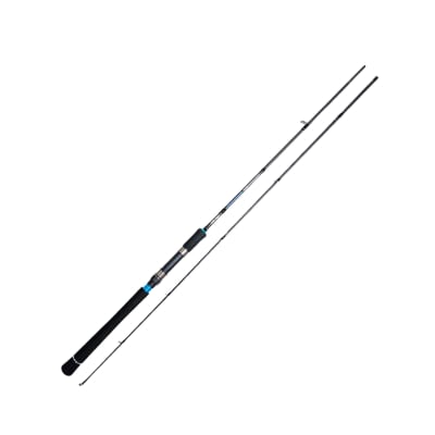 CAÑA FULCRUM COMPETITOR 3.00MTS 30-80GRS 10021
