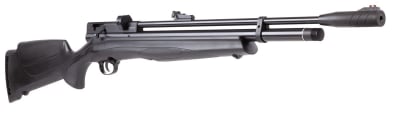 RIFLE  BEEMAN PCP CHIEF II1