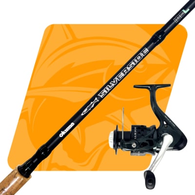 COMBO SILVERSIDE 195 TOLTEN 20001