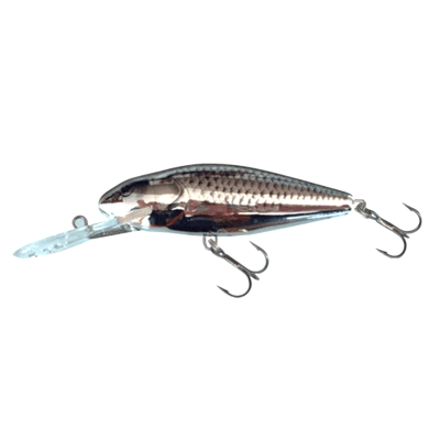 SEÑUELO SALMO PERCH 8 FLOATING1