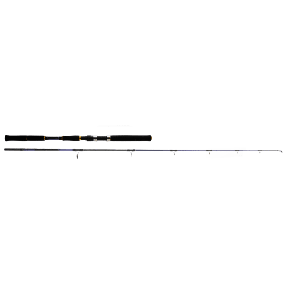 CAÑA PIONEER GT TERROR II 760 100-200GRS 100-200GRS