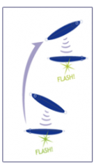 Jigpara Slow 40g descripción técnica