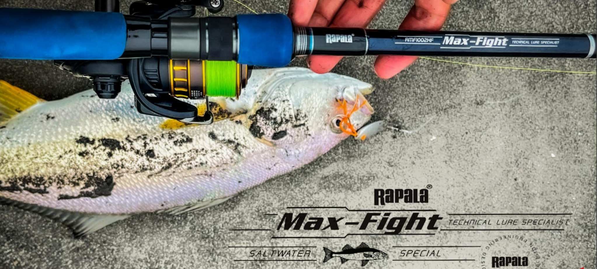 Caña Max Fight detalle construcción y componentes