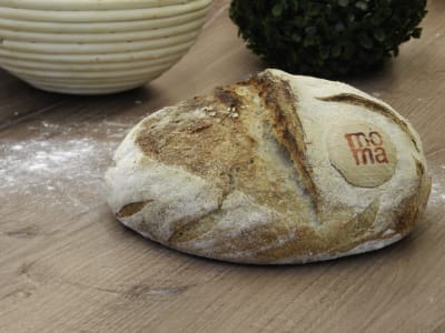 PAN DE CAMPO MASA MADRE BLANCO