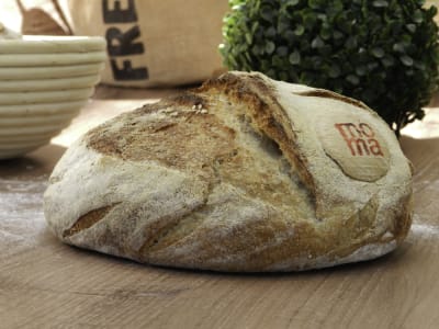 Masa Blanca Entero - Pan de Campo