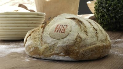 Masa Blanca Entero - Pan de Campo