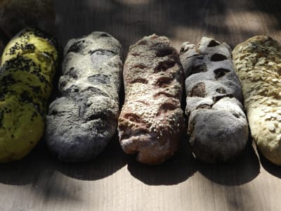 Pesto de Albahaca, Tomates y Aceitunas - Baguette con Agregados