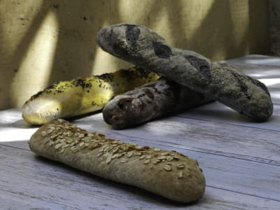 Espelta, Avena y Miel - Baguette con Agregados