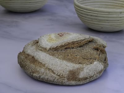 Masa Integral con Semillas Entero - Pan de Campo