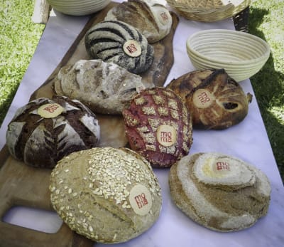 Masa Betarraga - Pan de Campo
