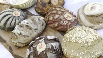 Hazelnut - Pan de Campo con Agregados
