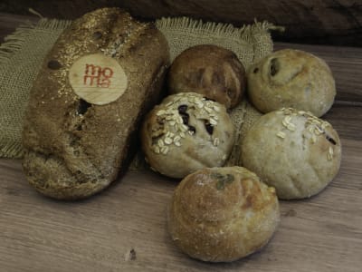 Promo Molde Integral + 5 Individuales