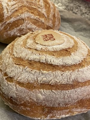 PAN DE CAMPO MASA MADRE BLANCO