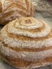 PAN DE CAMPO MASA MADRE BLANCO1