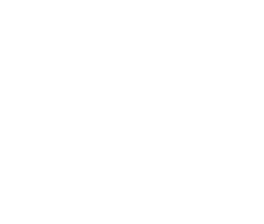 Bike Tribe: Tienda de Bicicletas y Taller | Ruta, MTB y Triatlón