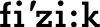Sillines Indumentaria y Accesorios Fizik