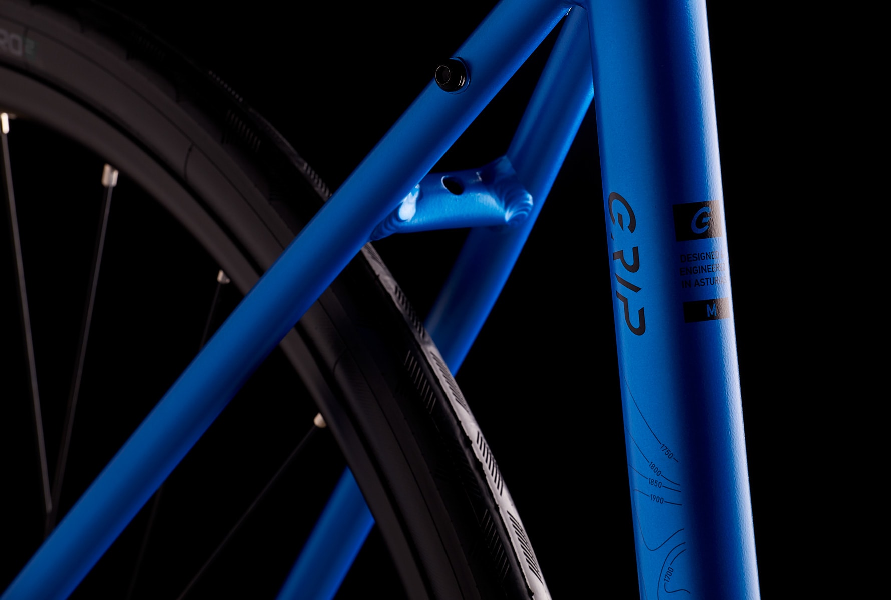 Grip 00 Disc 2021 M