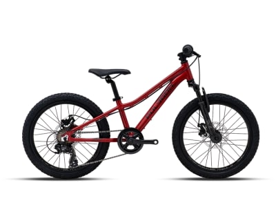 Bicicleta Niño Polygon Relic201