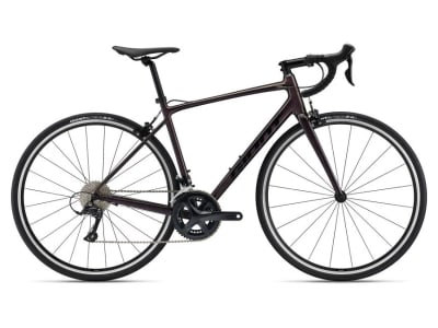 Giant Contend 11