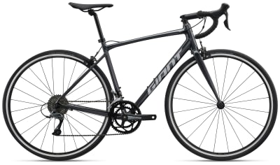 Giant Contend 3