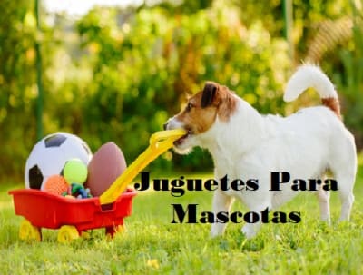 juguetesparamascotas0225