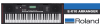Roland EX-10