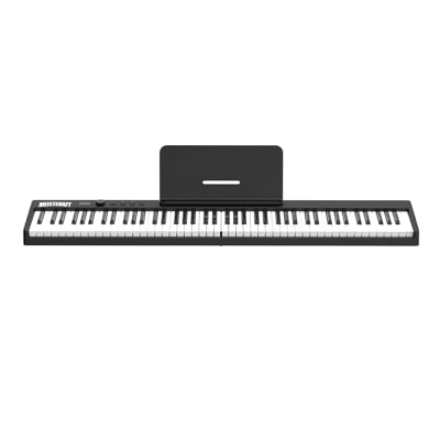 Meistehaft Euro-8600 Piano digital 88 notas portatil negro c/funda