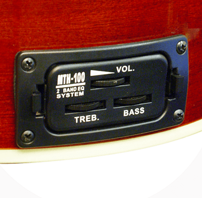 Banyo Electroacústico 8 cuerdas Meistehaft