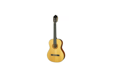 Guitarra Woodsoul Montearagon