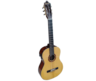 Guitarra Woodsoul Montearagon