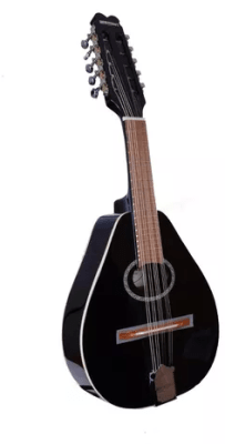 mandolina de 10 cuerdas meistehaft