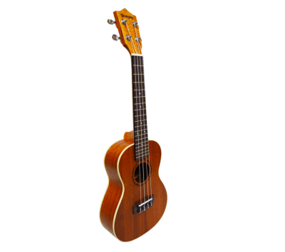 Ukelele 24