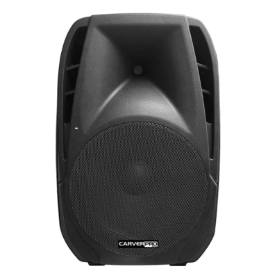 Parlante Caja Acustica Pasiva 15